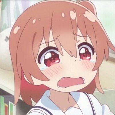 长隆淋雨狮子走红 动物园称这是天性